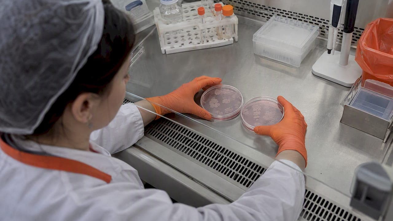 Изогенные контроли CRISPR: как получить надёжные линии для валидации