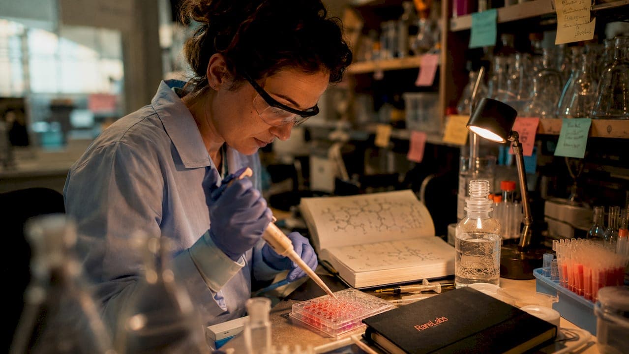 What Is Functional Genomics: A Researcher's Guide