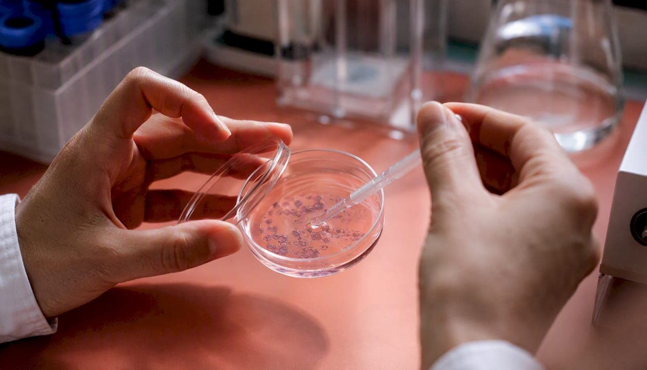 Centres de modélisation maladies rares : rôle et accès
