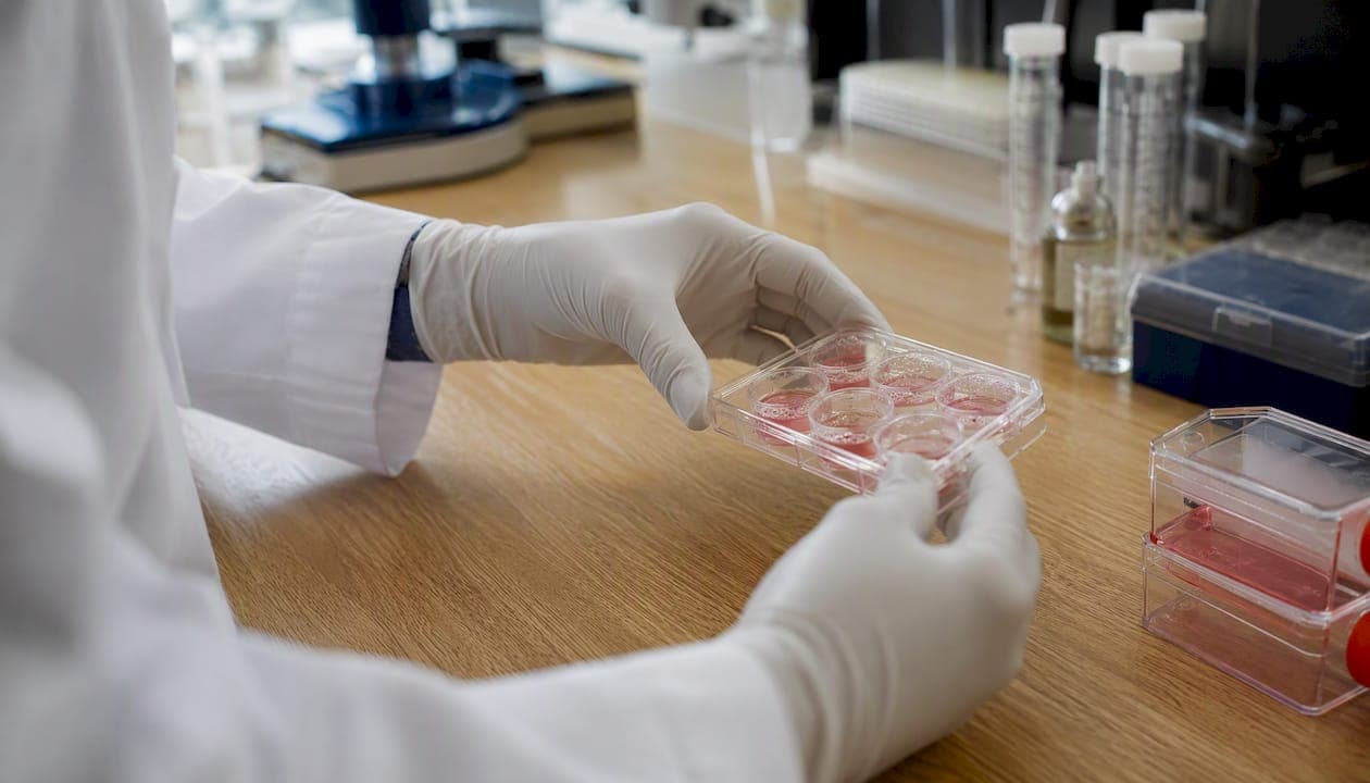 À quoi sert la journée mondiale des maladies rares ?