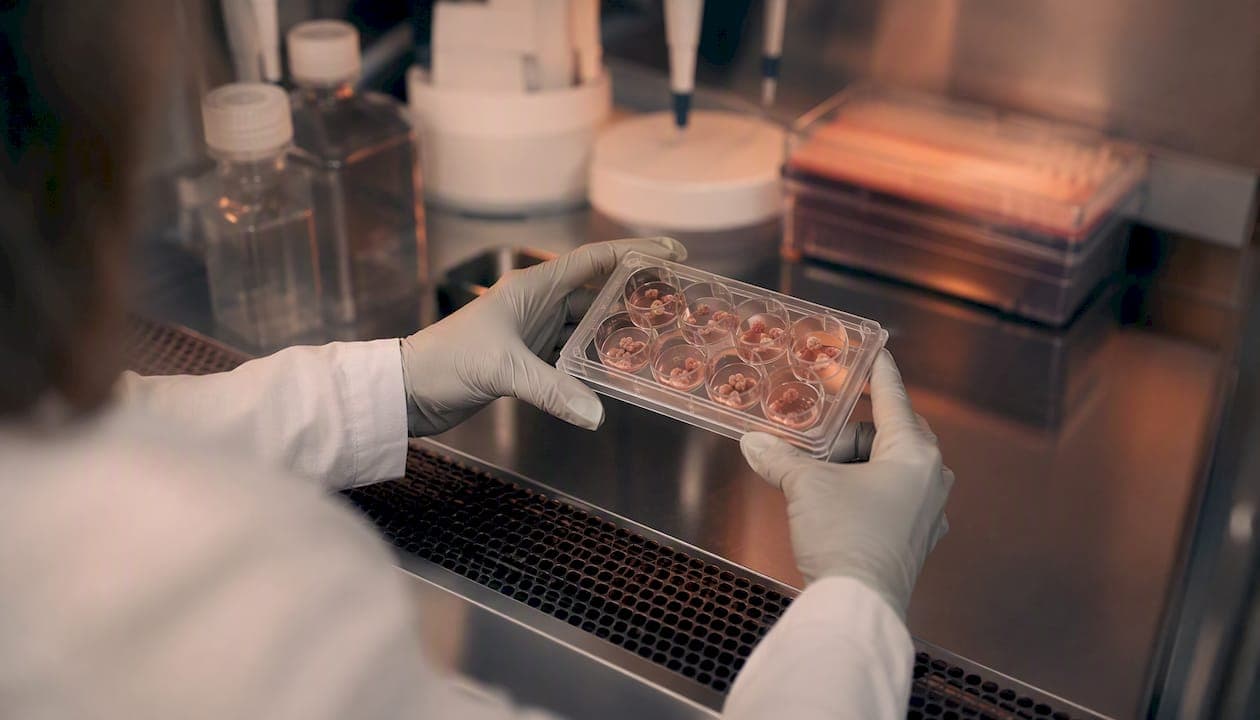 Traduzir achados laboratoriais clínica: guia para doenças raras