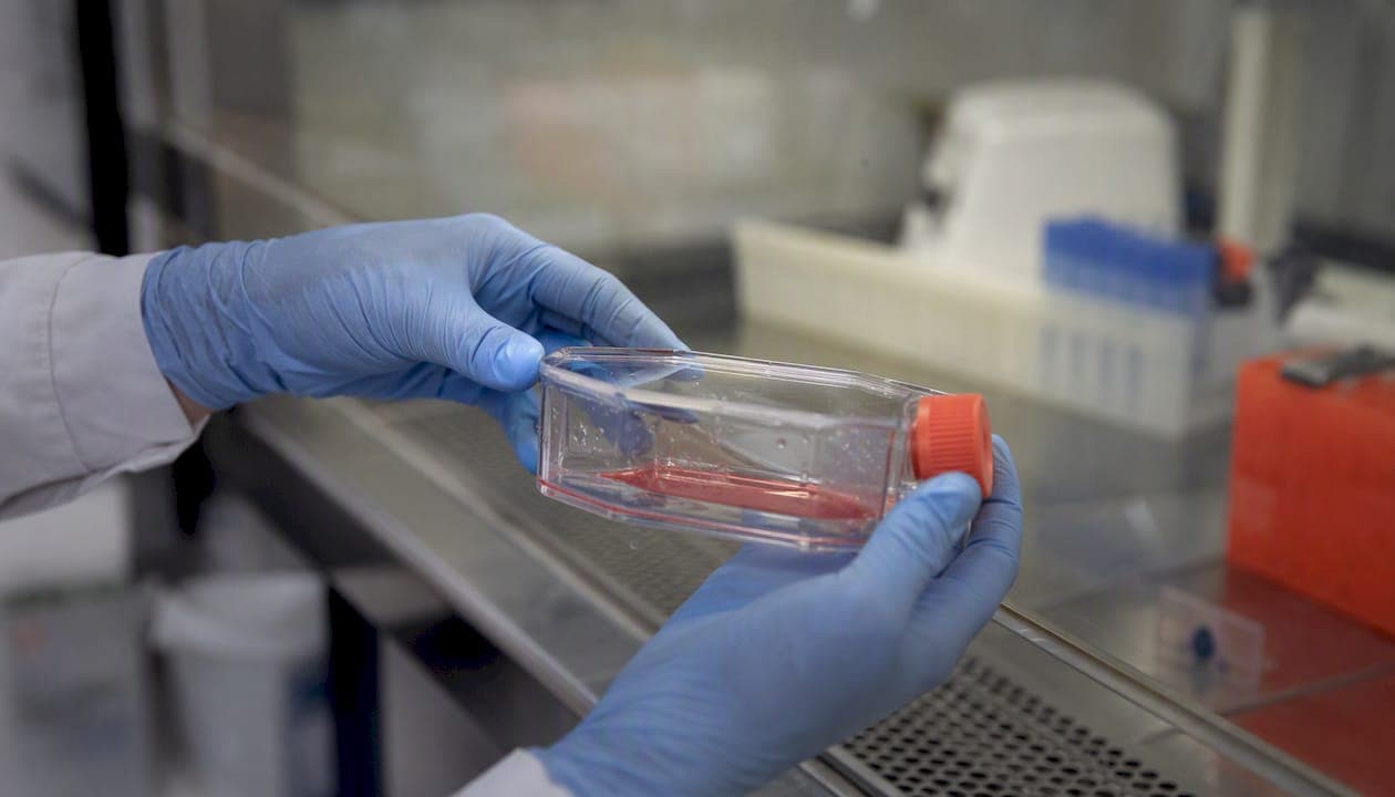 Bioéthique et recherche sur le patient pédiatrique rare