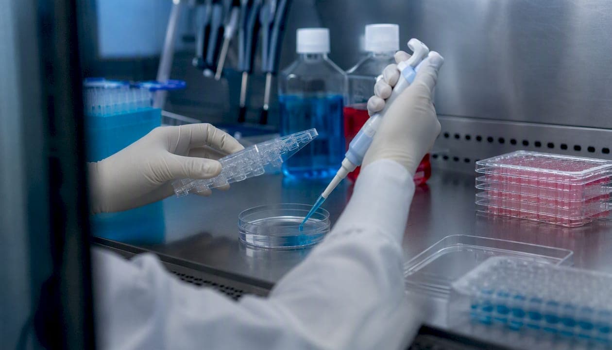 Modelos de cardiomiócitos iPSC: guia técnico para investigadores