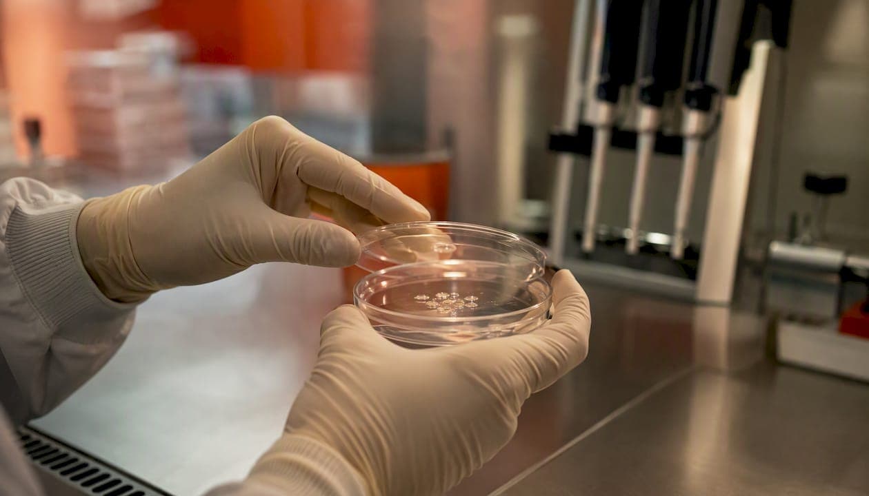 Patientenspezifische Modelle: Hilfe bei genetischen Erkrankungen