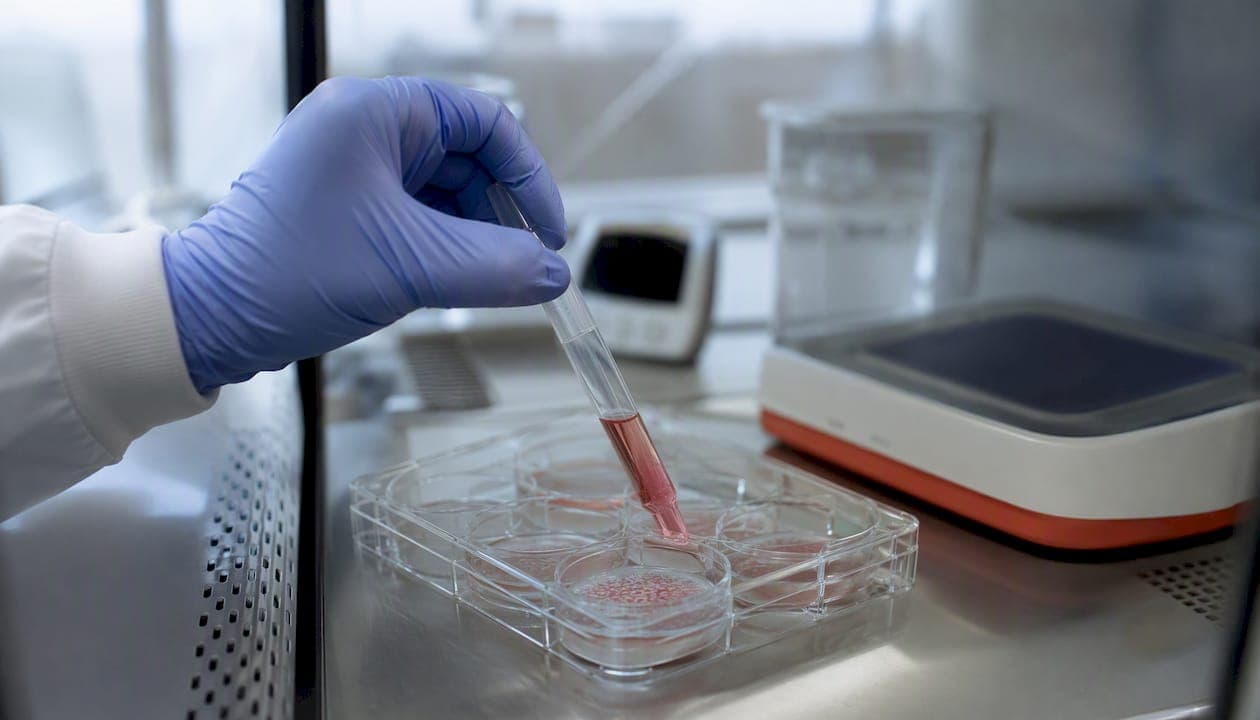 Reprogrammation iPSC : quelle méthode choisir selon vos objectifs