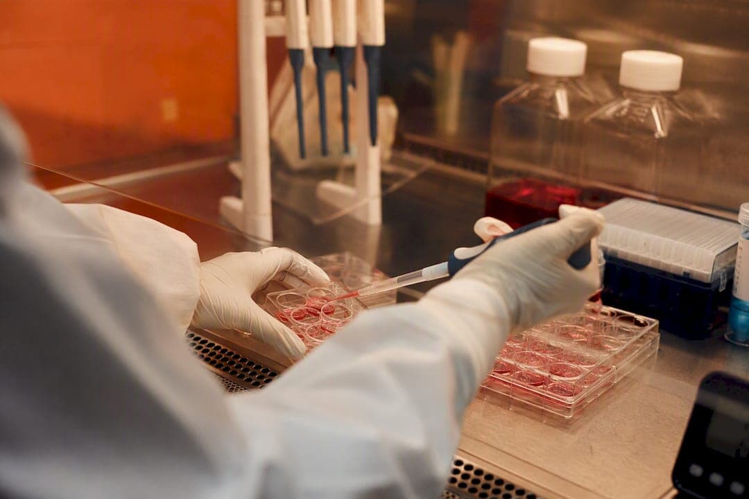 Программа наставничества для молодых исследователей редких болезней