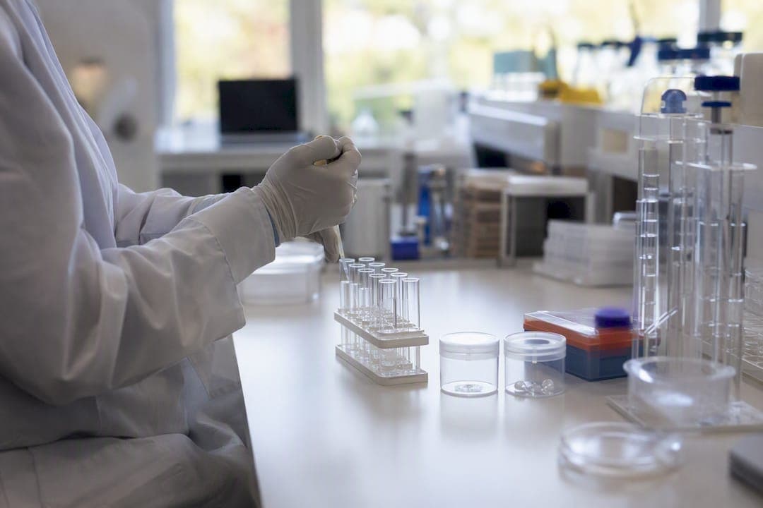 给科研人员和初学者的CRISPR基因编辑建模步骤指南