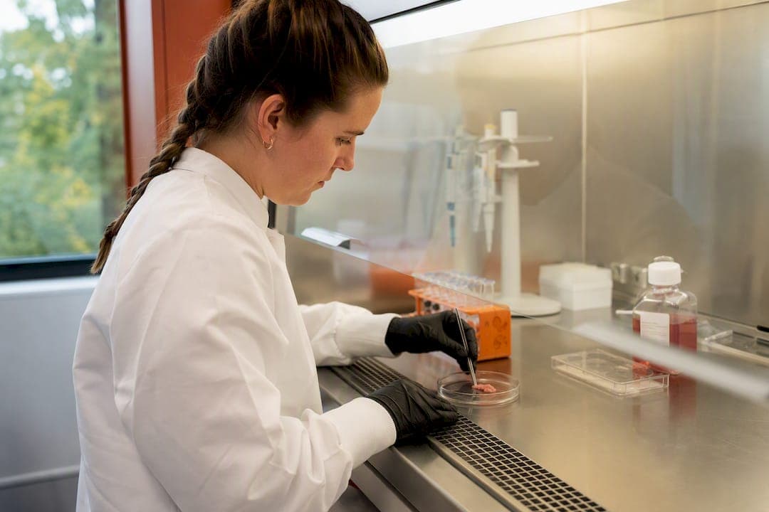 Ex Vivo Drug Testing for Researchers and Clinicians