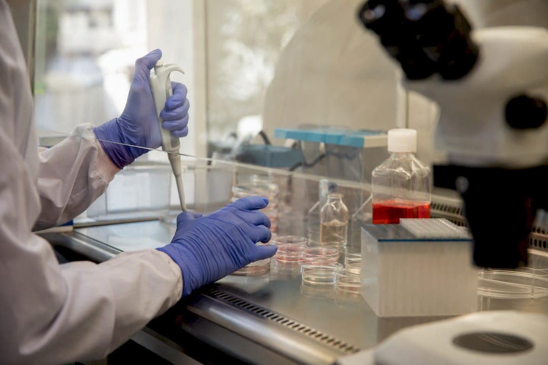 Protocolos para gerar neurónios a partir de iPSC de doentes