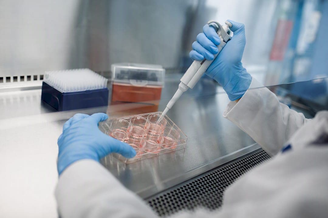 Les meilleures pratiques CRISPR pour un développement thérapeutique traduisible