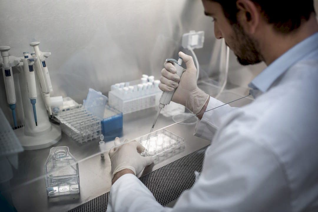 Como funciona a edição genética CRISPR na prática
