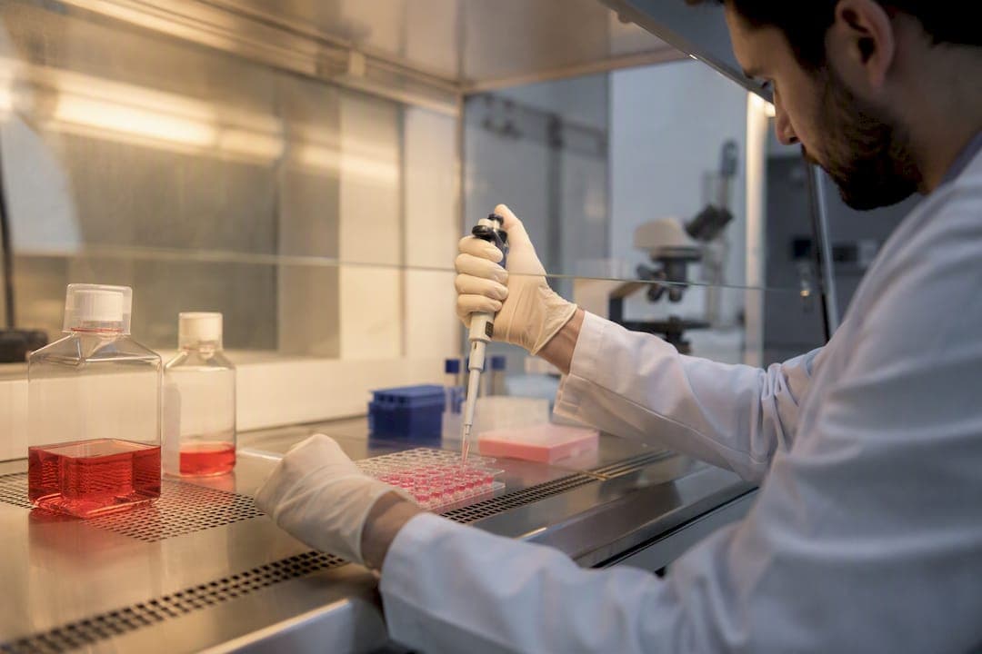 Diferenciação de microglia a partir de iPSC: qual protocolo escolher