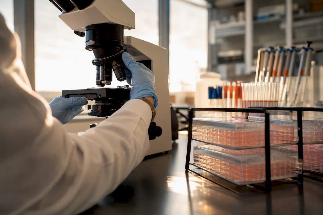 Ensaios de high-content imaging: guia técnico para triagem fenotípica