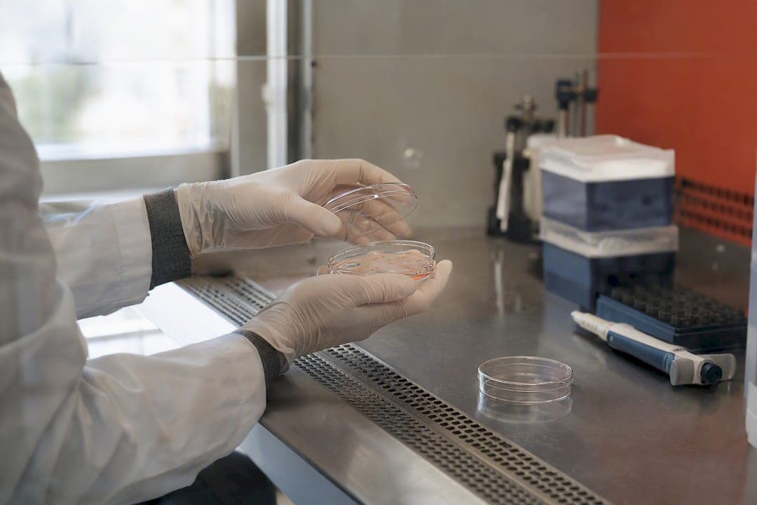 Разработчикам: iPSC для снижения иммуногенности генной терапии