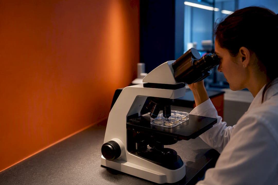 Resgate fenotípico credível: 3 critérios por modelo para investigadores