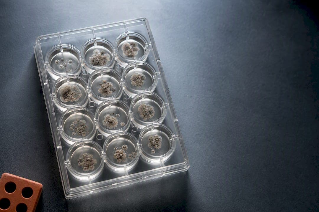 93% 一致性证据:患者衍生类器官的可复现与临床可转化门槛