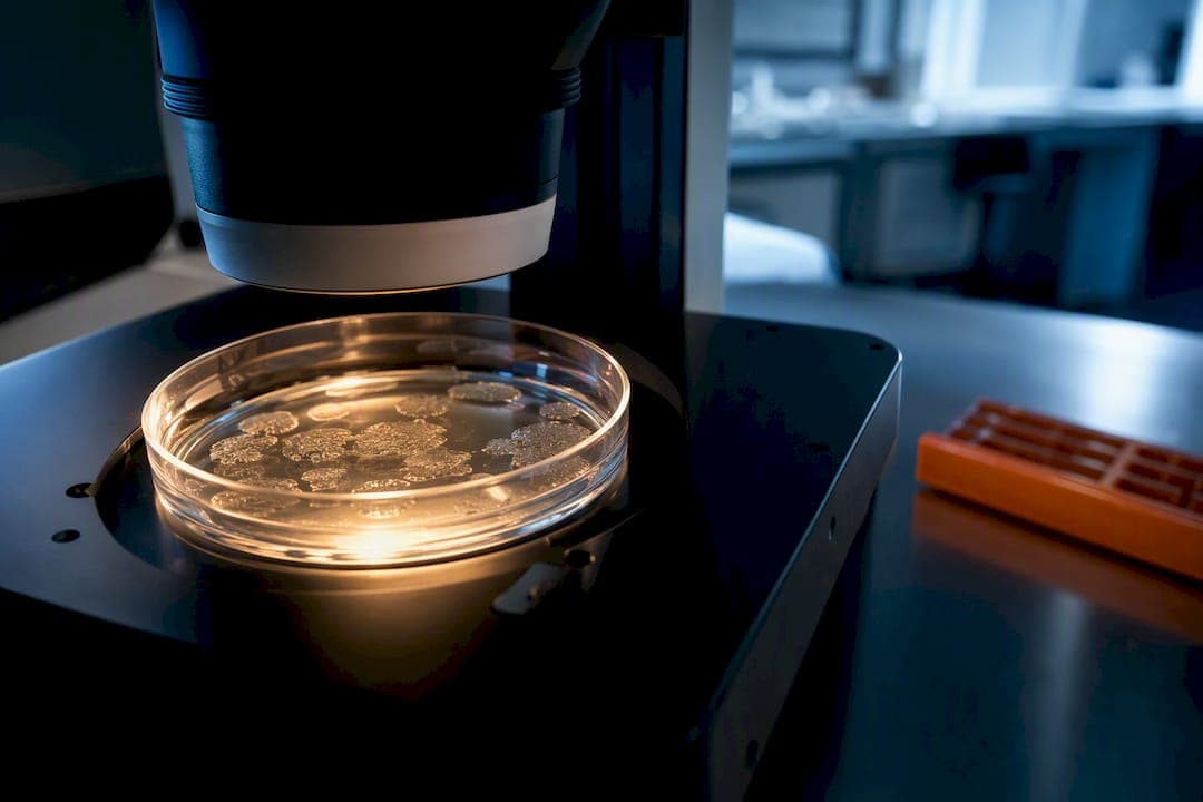 Six Routes to CRISPR Allele Correction With a 10 Step iPSC Workflow