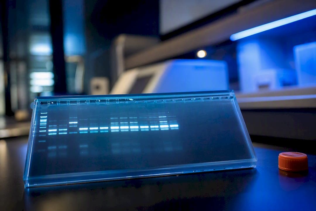 Diseña y cuantifica un ensayo de splicing minigen para investigadores