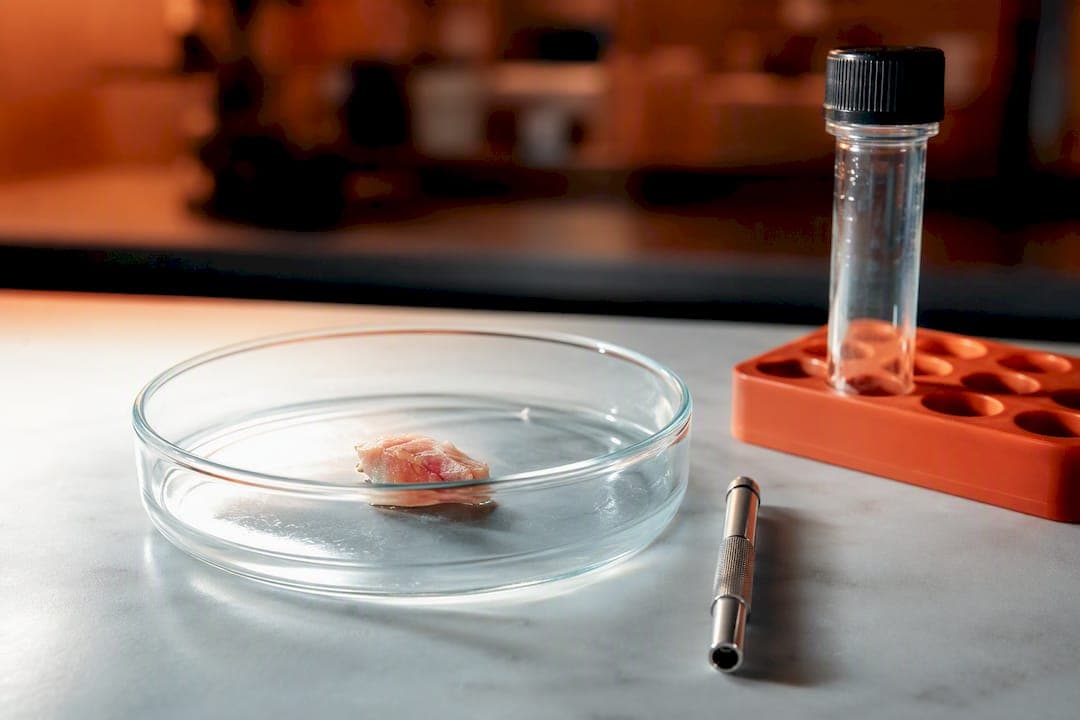 In sieben Wochen: Labore erzeugen iPSC Linien aus Hautbiopsien