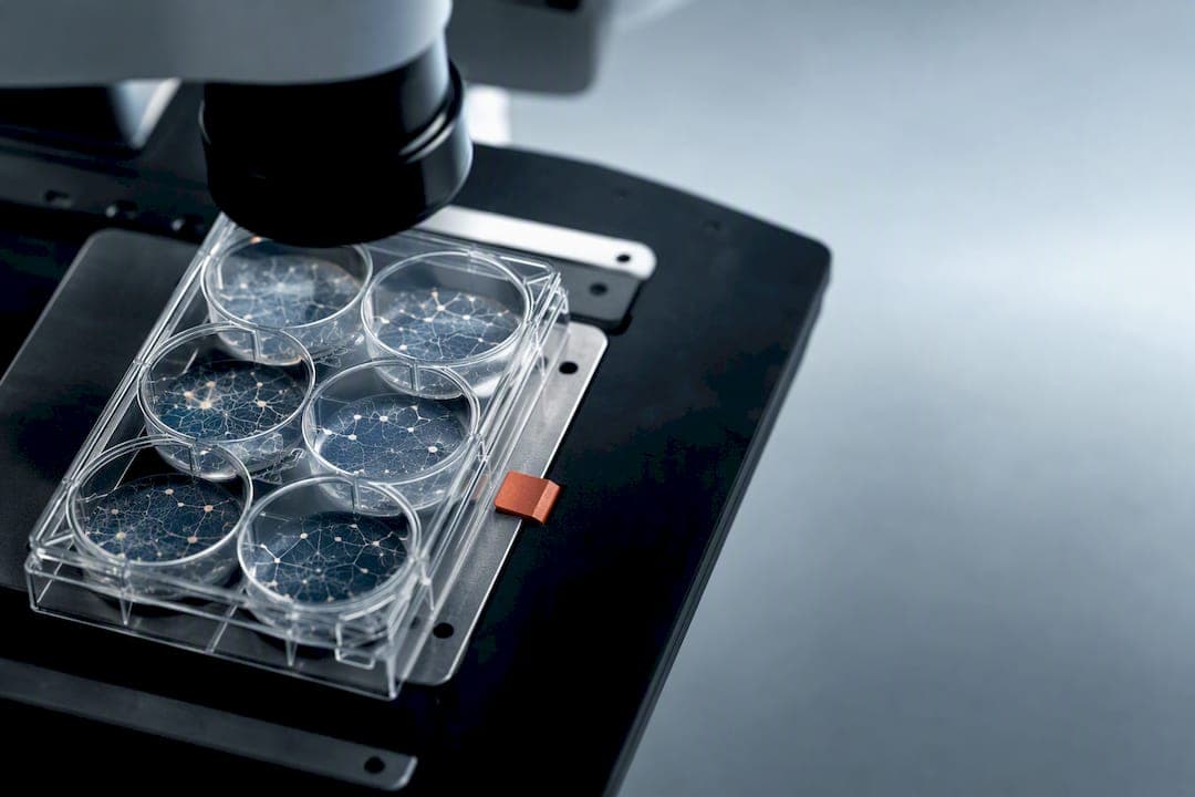 Três anos ou uma década: entrega de ASO para investigadores com iPSC