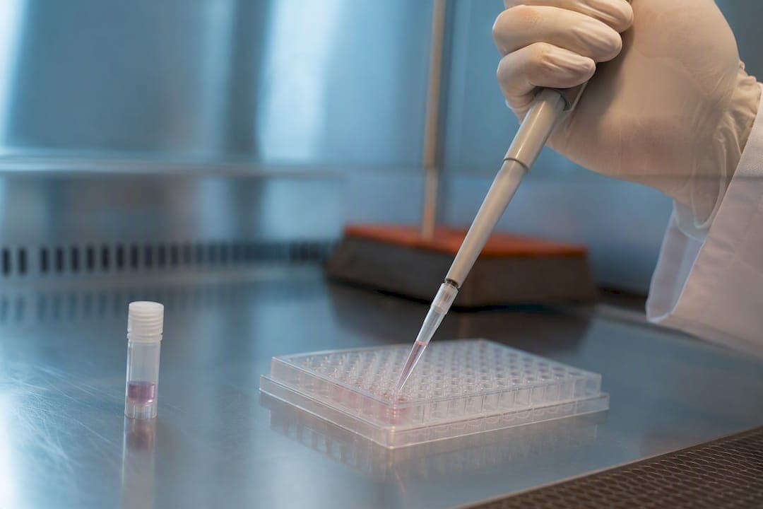 Transdução AAV in vitro em iPSC: protocolo prático, MOI e CRAAVR