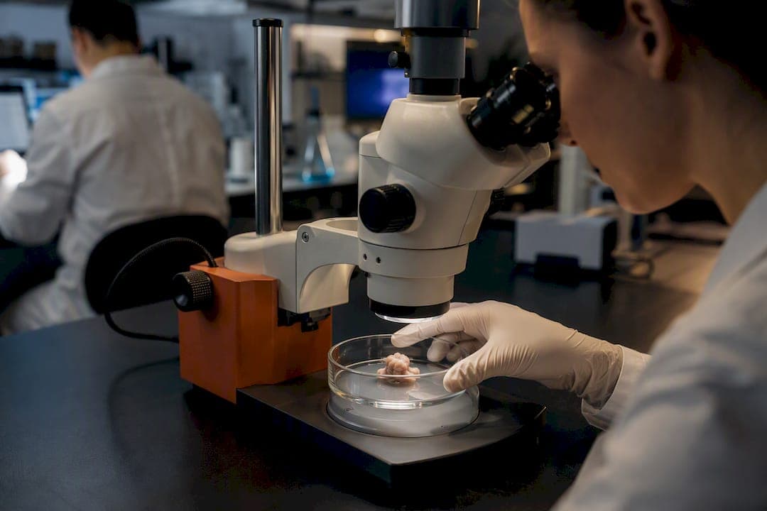 Laborentscheidungen iPSC‑Hirnorganoide: Protokoll und Patientenservice