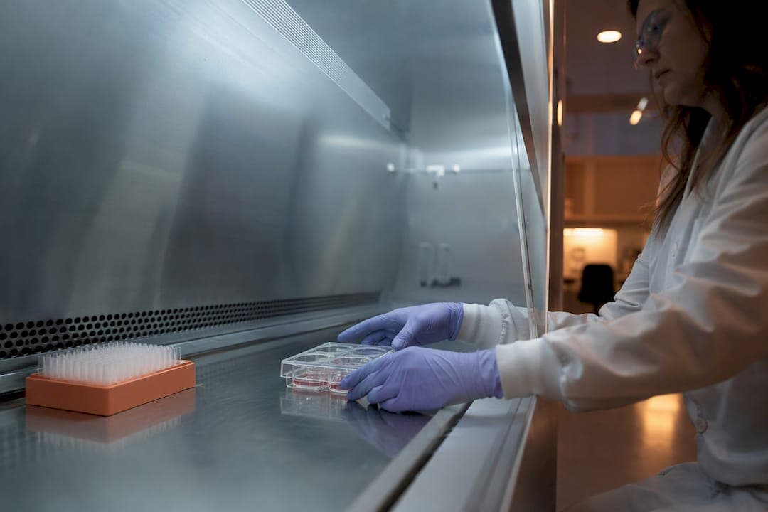 Bench Scientists: Day by Day NGN2 vs Dual SMAD Neuronal iPSC Protocols