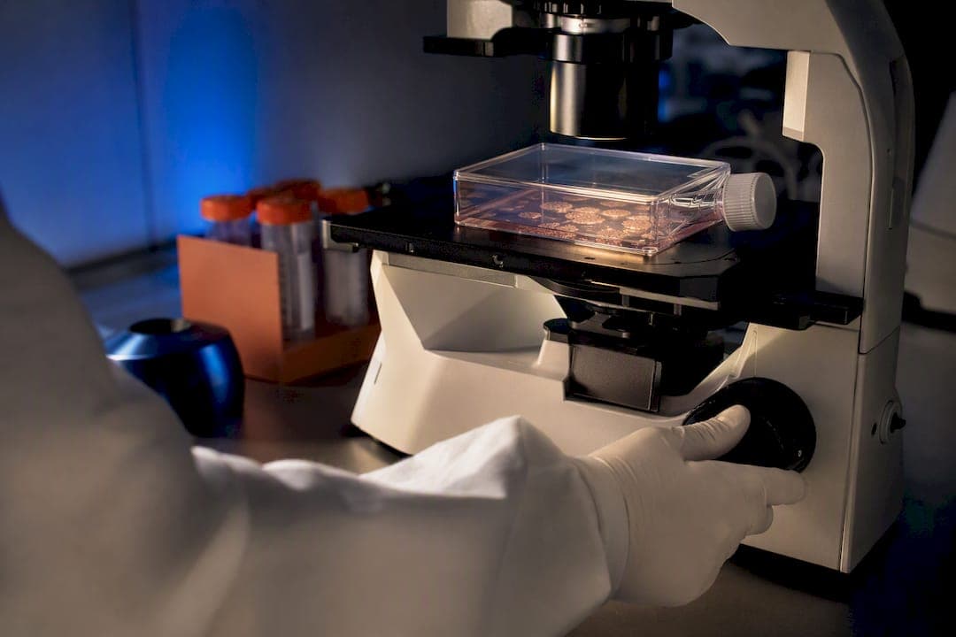 Get iPSC Colonies in 7–21 Days: PBMC Reprogramming for Labs on E8