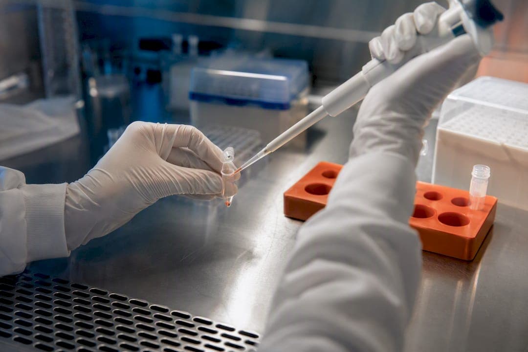 PBMC zu iPSC reprogrammieren: Das Praxisprotokoll