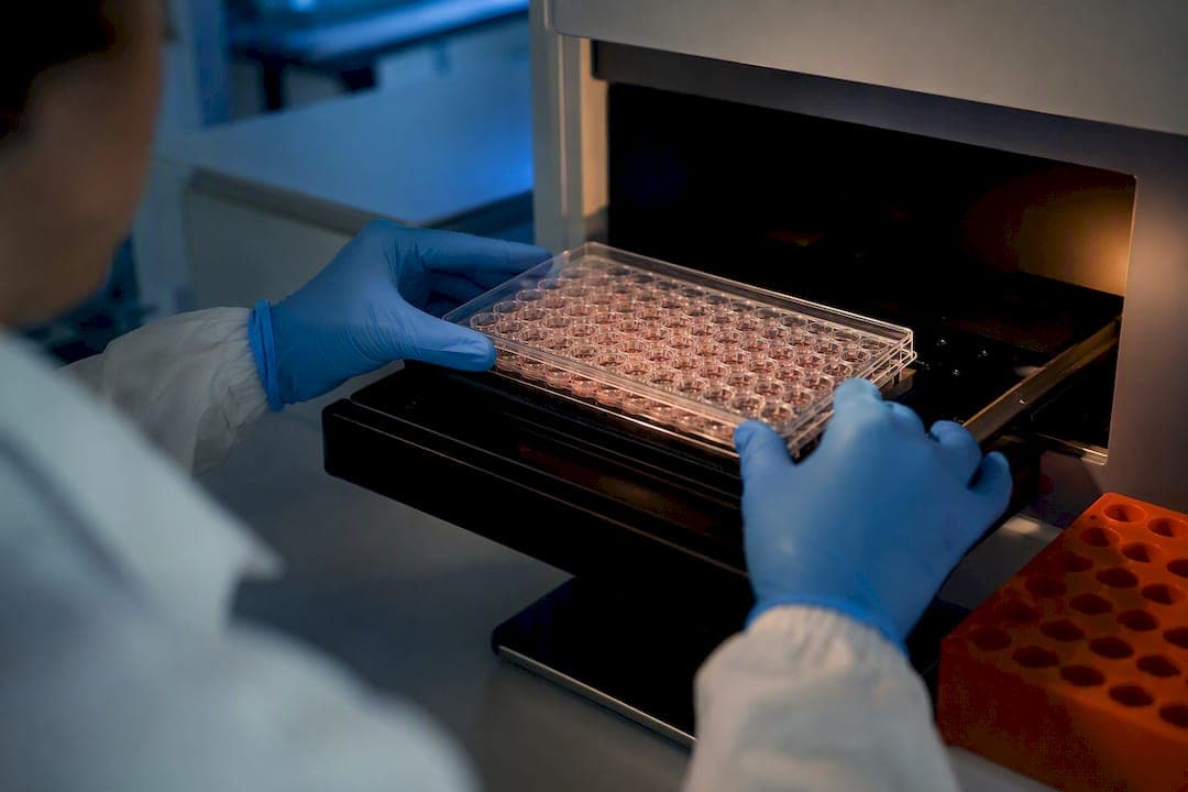 iPSC-Kardiomyozyten als Modellplattform für Herzkrankheiten
