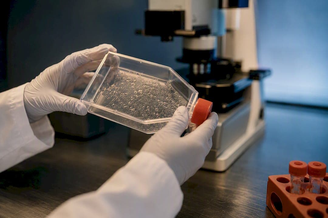 Choose the Right Microglia From iPSC Protocol for Labs: 2 or 4–6 Weeks