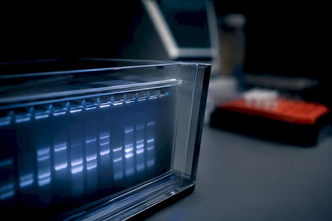 O ensaio de minigene: quando e como validar splicing em VUS
