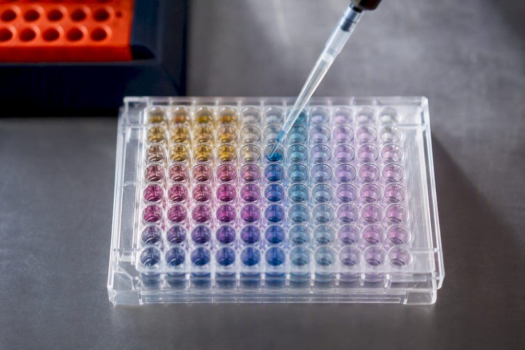 Combination Therapy Screen: Von Synergie zu klinischer Relevanz