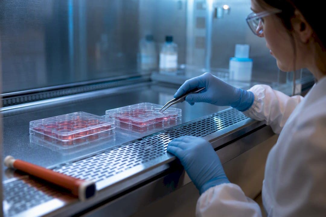 Control corregido CRISPR: qué exigir antes de usarlo como referencia
