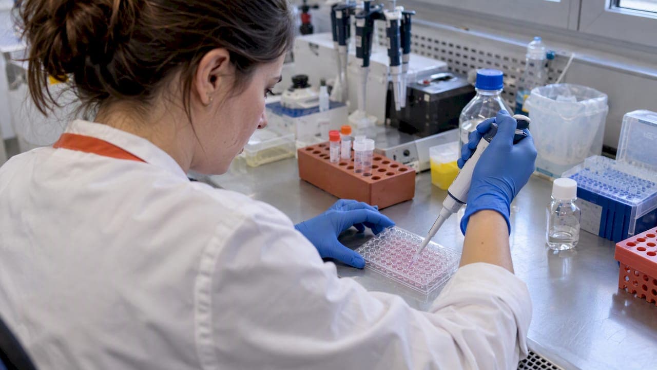 Le nonsense mutation readthrough : mécanismes, molécules et limites cliniques