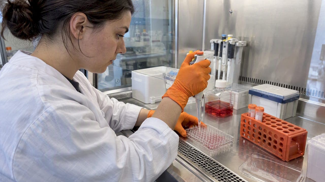 Approved Drug Screen: Drogentest oder Wirkstoffscreening?