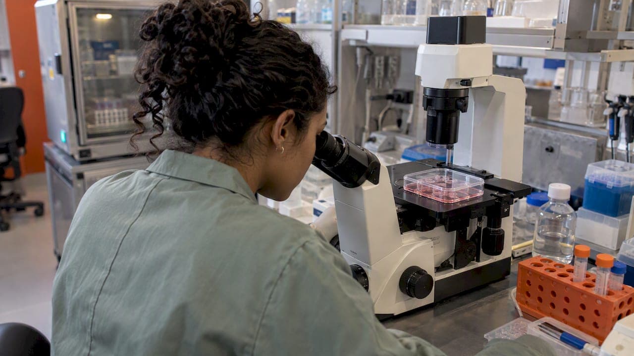 Choix du tissu cible en thérapie génique AAV : méthode
