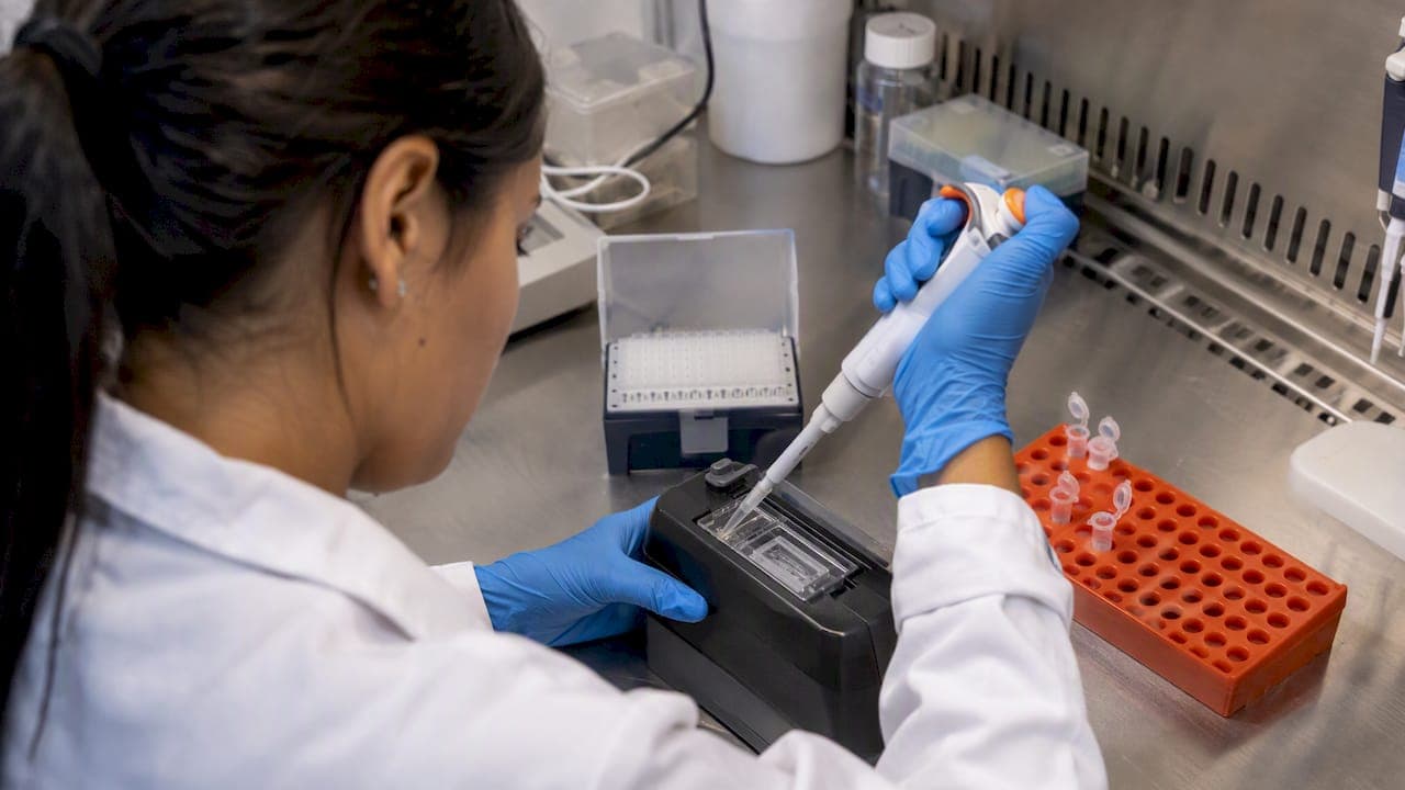 iPSC e análise de célula única em doenças raras: guia prático