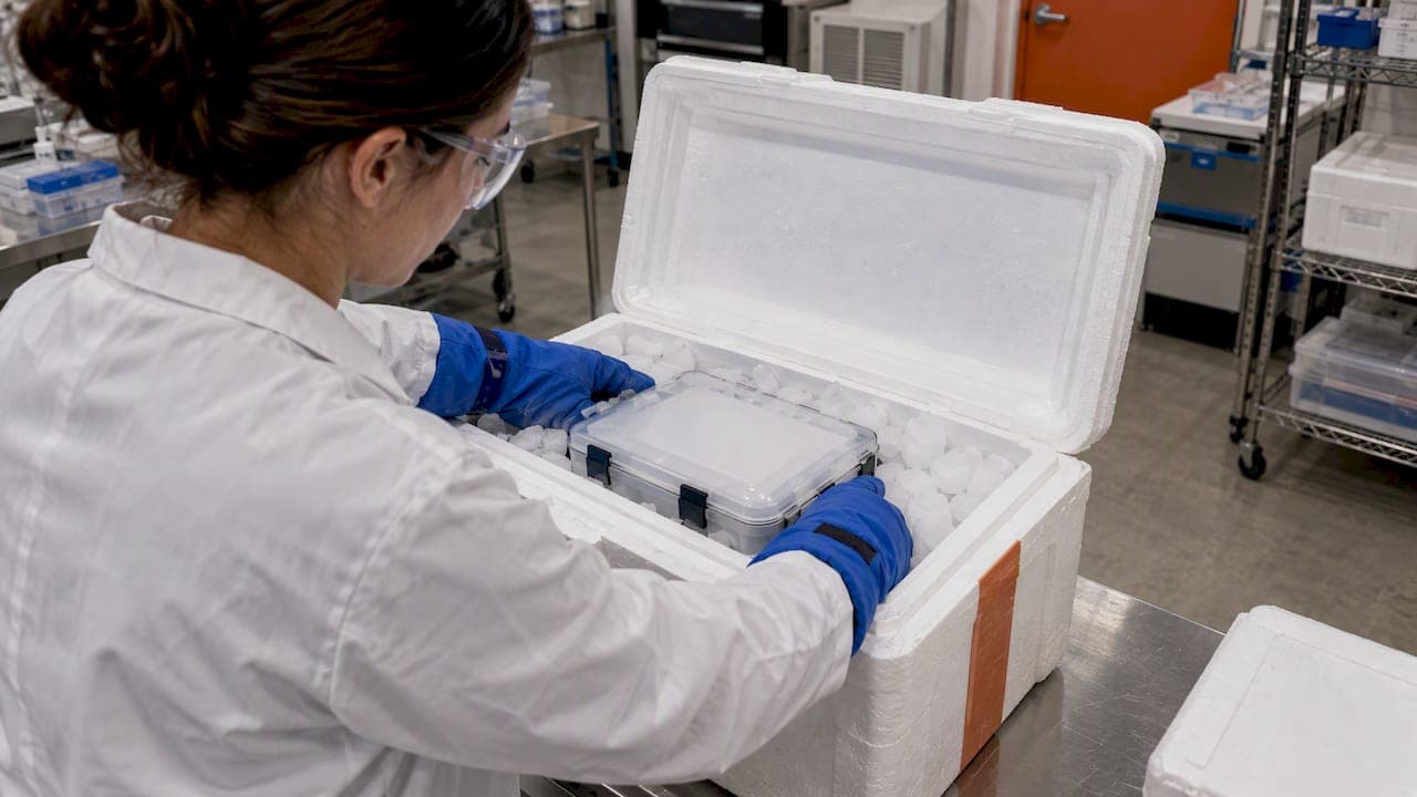 iPSC 样本运输指南:冻存、干冰包装与美国寄送要求